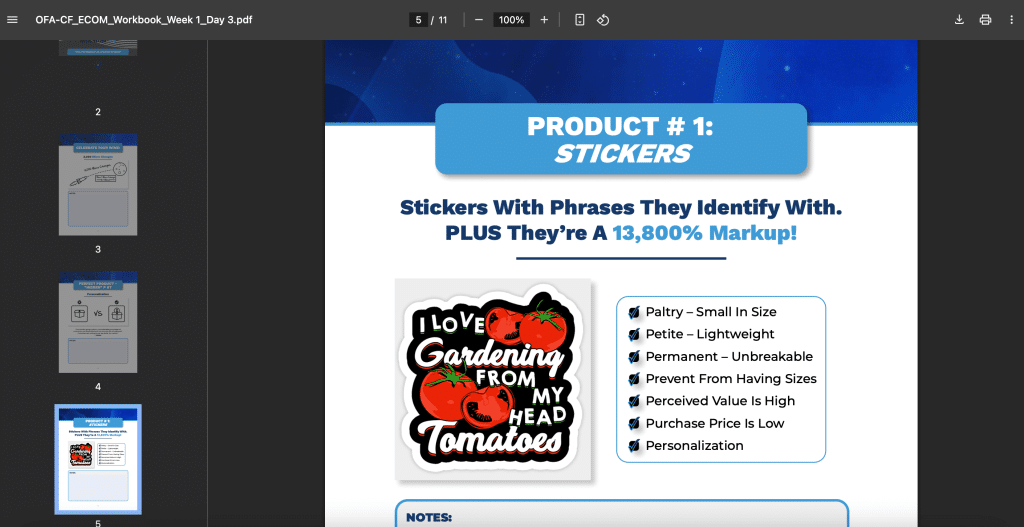 One Funnel Away Challenge review: homework example